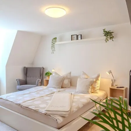 Apartamento N50 Im Herzen Der Erfurter Altstadt